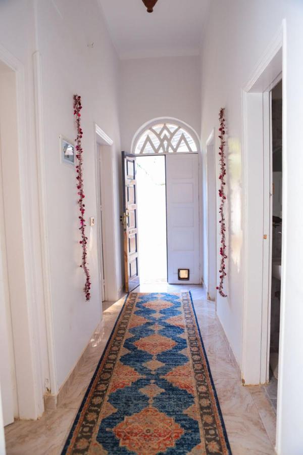 Luxor Oasis Guest House Exterior foto